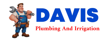 Trusted plumber in DORR